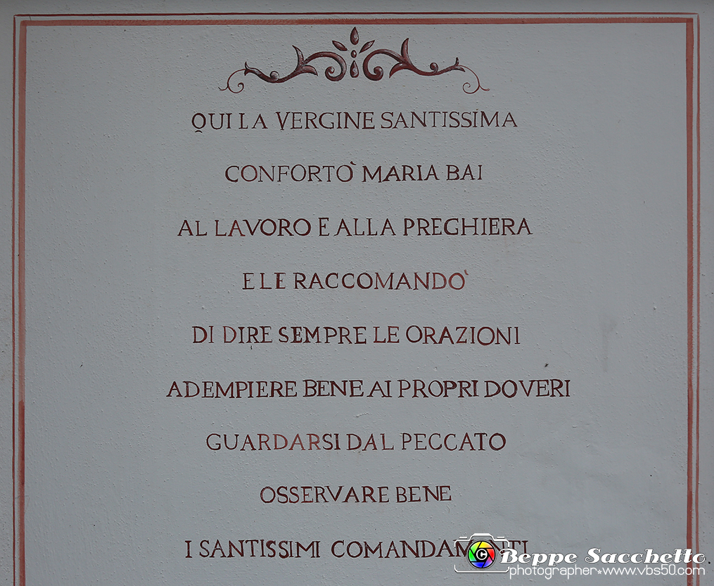 VBS_9787 - Infiorata di Villanova d'Asti 2023.jpg